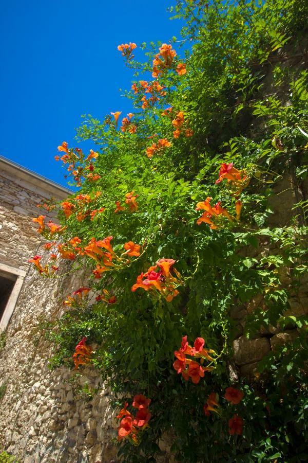 Apartman Ana Skradin Bagian luar foto